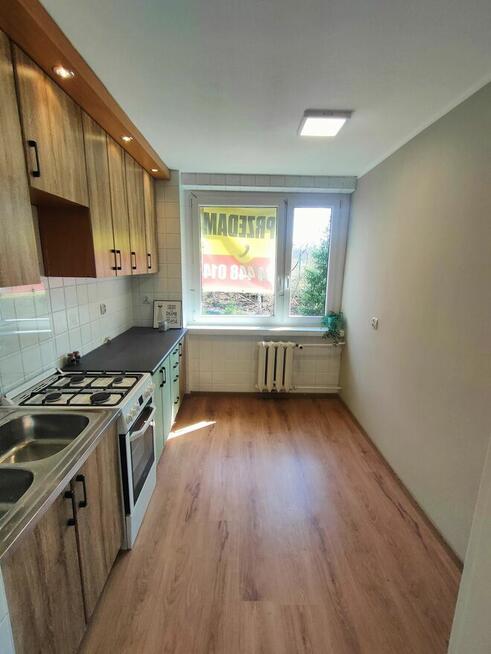 Przytulne mieszkanie