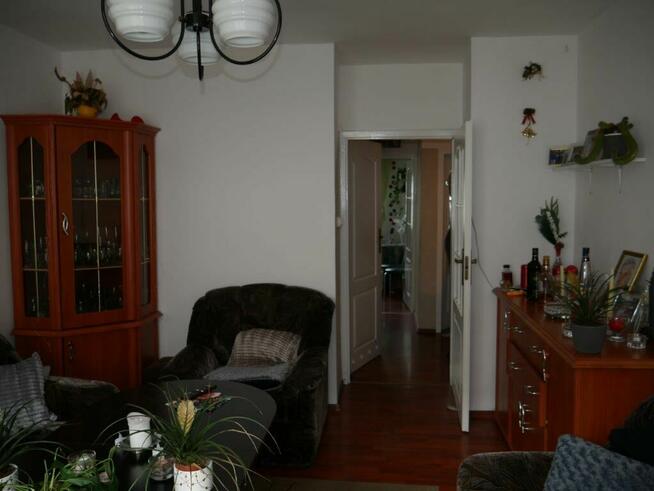 Mieszkanie, 50,20 m², Żagań