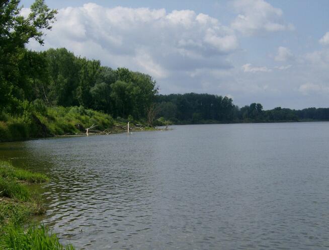 Przyjaźń niepełnosprawnej dwójki! Zaryzykujmy oboje!