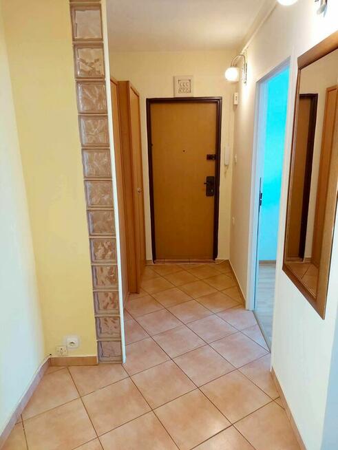 Mieszkanie do wynajęcia 2 pokoje Płock - Wielka Płyta