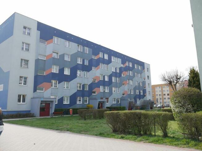 Mieszkanie, 50,20 m², Żagań