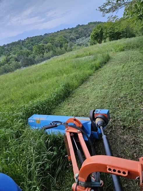 Czyszczenie działek, wycinka drzew, Mulczowanie, Korzeni