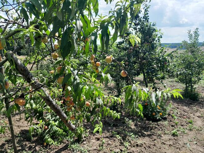 Nowy dom z działką