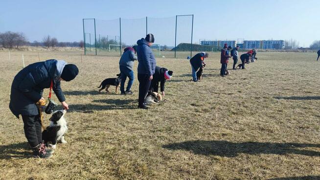 Grupowy kurs posłuszeństwa - Dobrzykowice