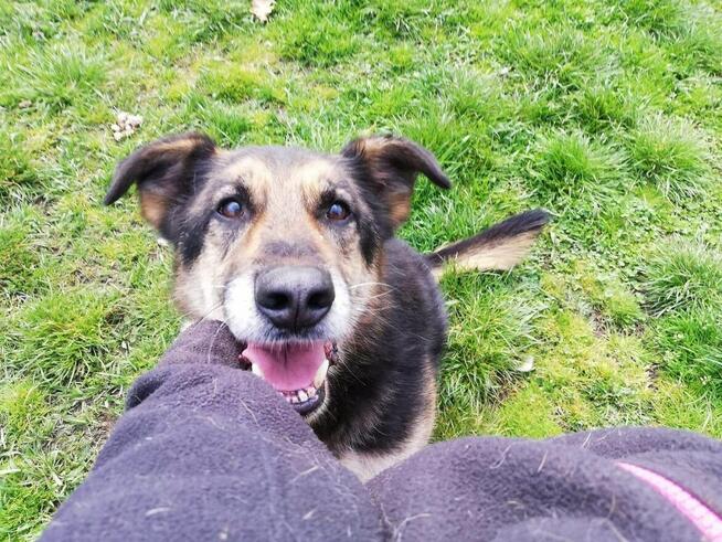 Może na twój dom właśnie czeka Leo?