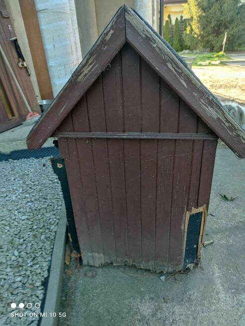 BUDA dla psa ODDAM za darmo