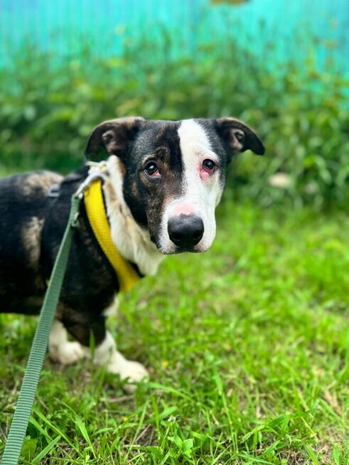 Hulanka na nowy start, dom to najpiękniejszy fart!