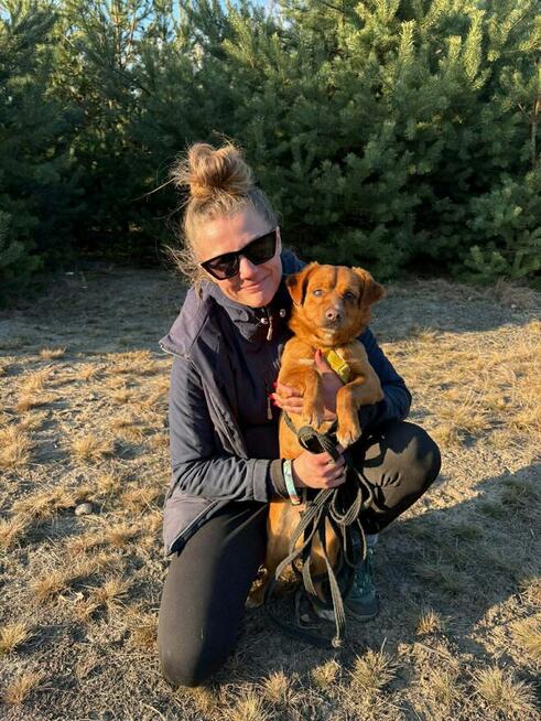 Marianek - nieduży rudy kawaler szuka domu!