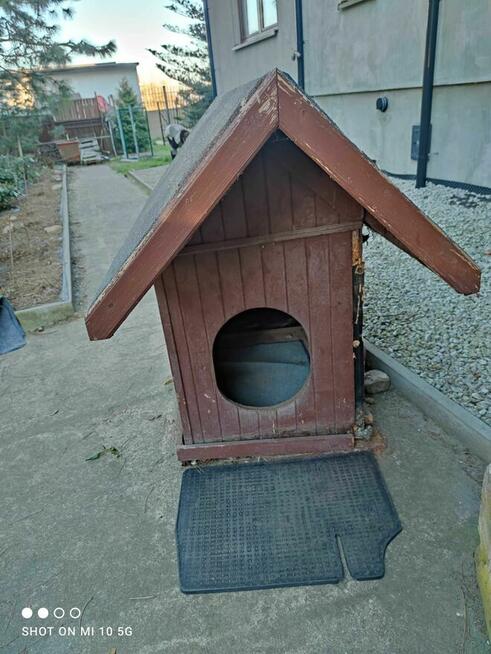 BUDA dla psa ODDAM za darmo