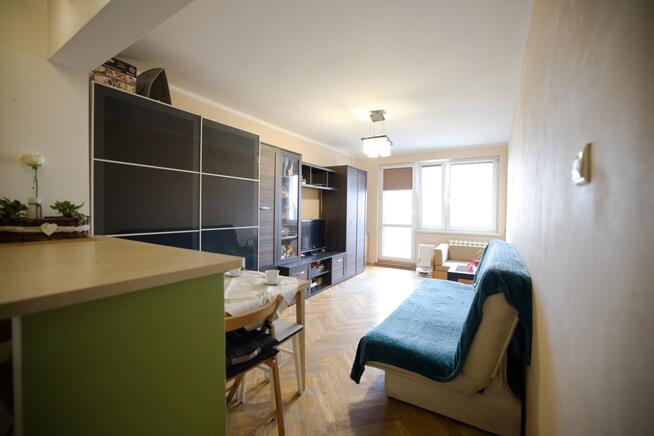 Mieszkanie Winogrady Piątkowo 2 pokoje