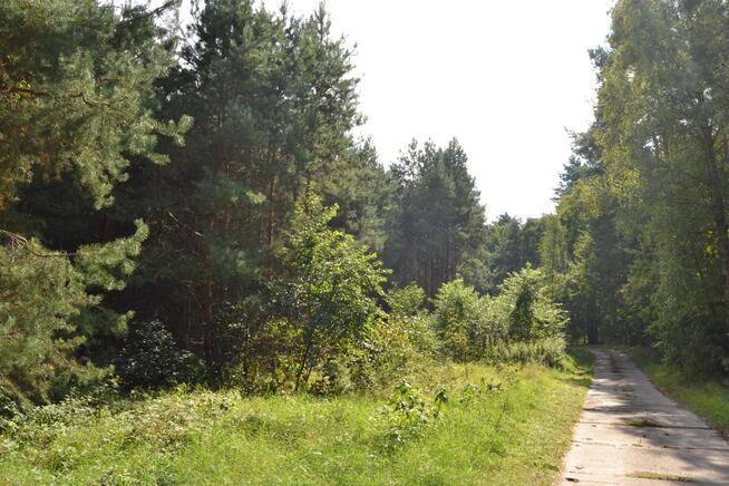 Na sprzedaż działki rekreacyjne w lesie, Wrocław