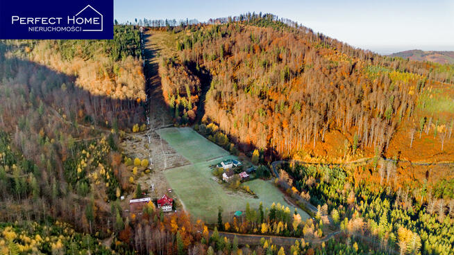 Lokal użytkowy Wisła