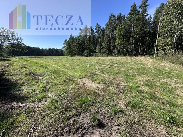 Działka budowlana Borucza gm. Strachówka