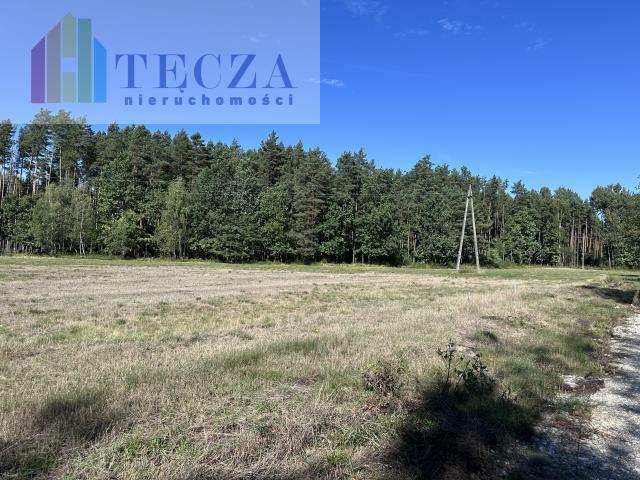 Działka budowlana Borucza gm. Strachówka