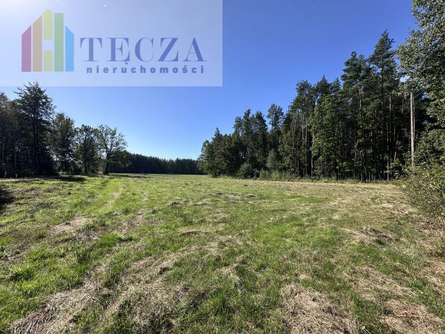 Działka budowlana Borucza gm. Strachówka