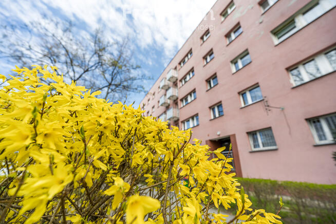 2 osobne pokoje, Bielany, Lasek Bielański, AWF