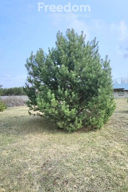 działka budowlana w Rogowcu, gmina Kleszczów