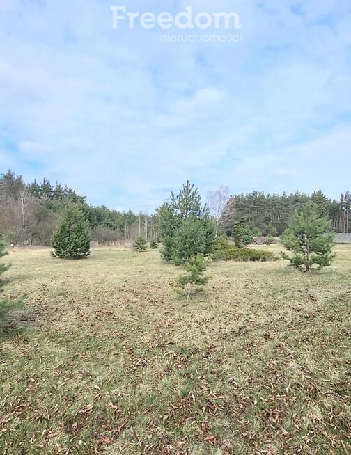 działka budowlana w Rogowcu, gmina Kleszczów