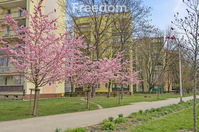 Przestronne przytulne mieszkanie 4-pokojowe Ochota