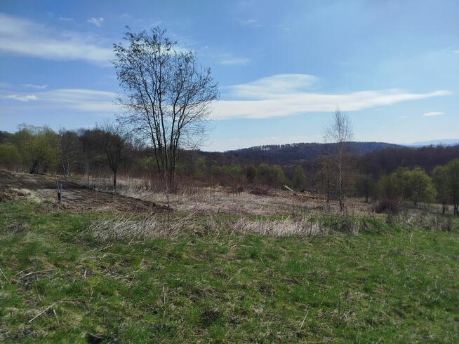 Wynajmę działkę rekreacyjną - rolną działka raciborsko