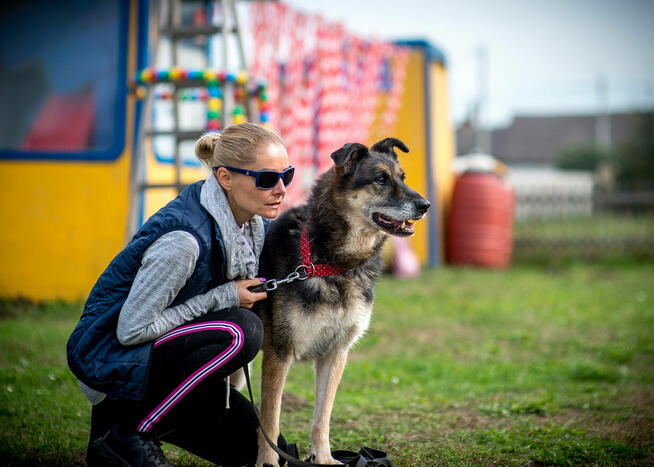 Może na twój dom właśnie czeka Leo?