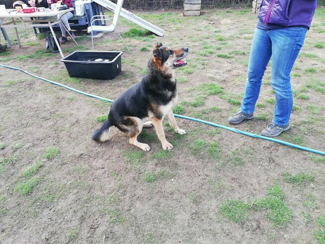 Może na twój dom właśnie czeka Leo?