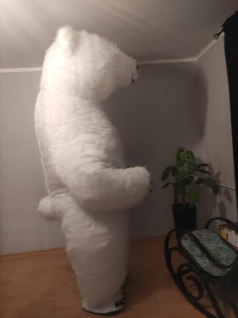 Biały Miś strój wypożyczę