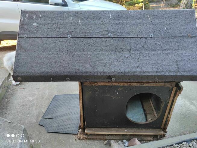 BUDA dla psa ODDAM za darmo