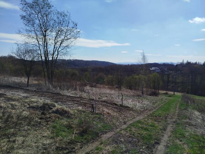 Wynajmę działkę rekreacyjną - rolną działka raciborsko