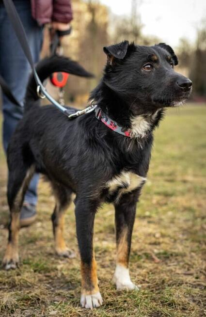 Proludzki młodziak o wielkim sercu marzy o kochającym domu