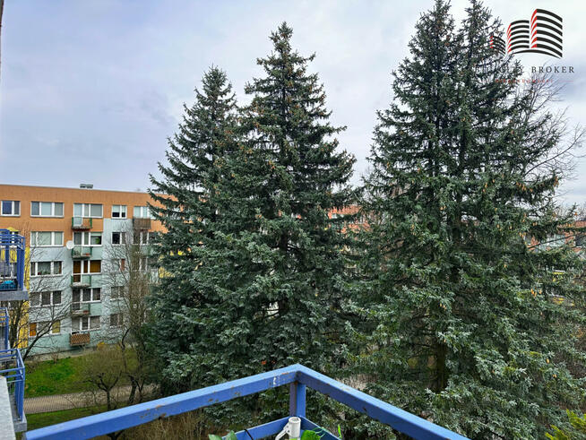 Mieszkanie Lublin, Emancypantek