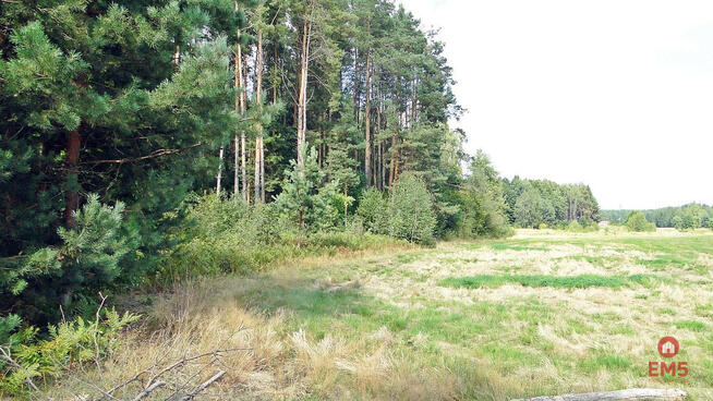 Działka budowlana Zalesiany gm. Turośń Kościelna,