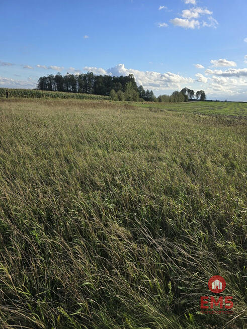 Działka inwestycyjna Pajewo gm. Tykocin,