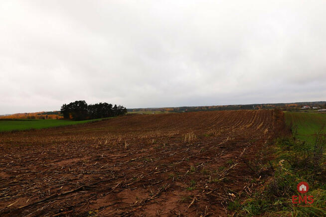 Działka rolna Żegary gm. Sejny,