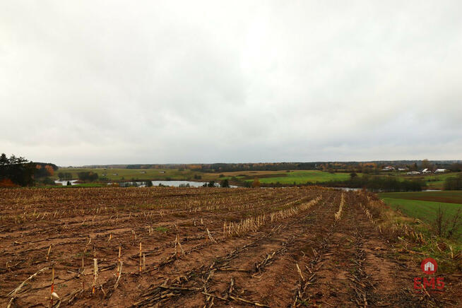Działka rolna Żegary gm. Sejny,