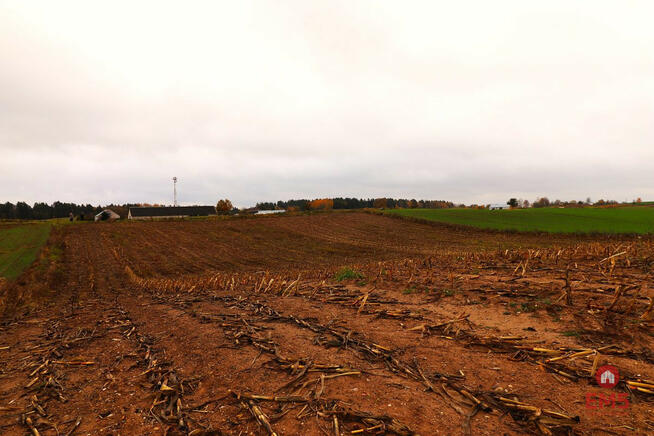 Działka rolna Żegary gm. Sejny,