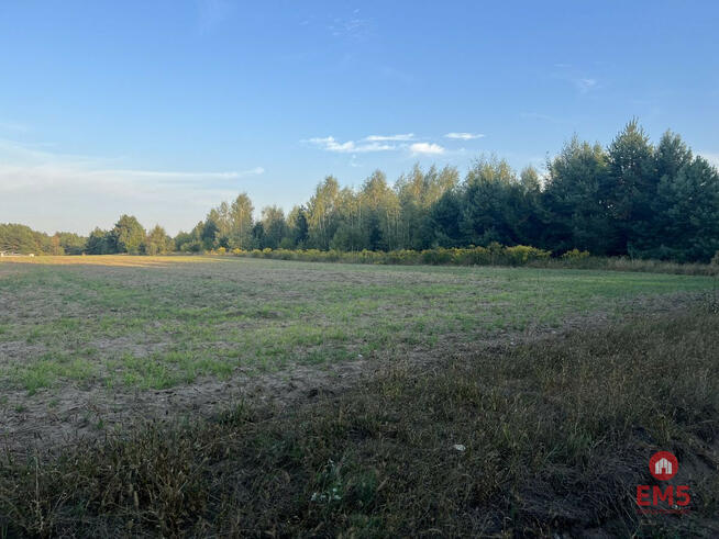 Działka rolna Morze gm. Czyże,