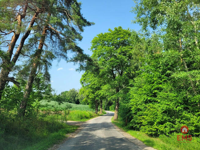 Działka rekreacyjna Nowe Krzywe gm. Stare Juchy,