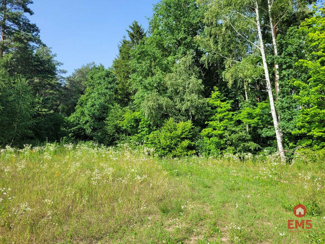 Działka rekreacyjna Nowe Krzywe gm. Stare Juchy,