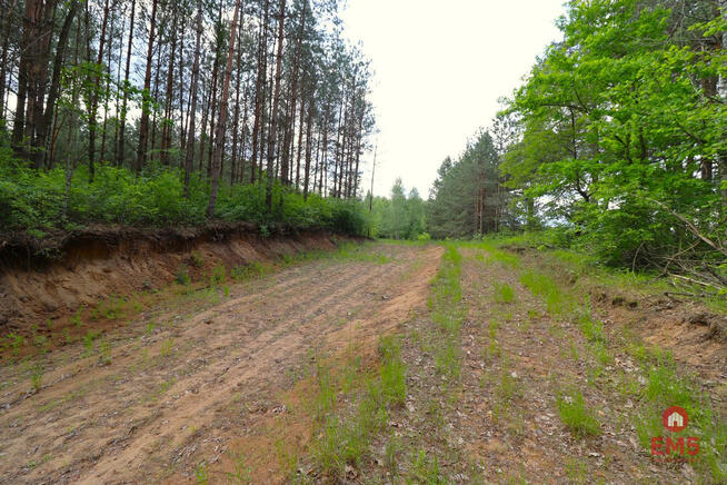 Działka budowlana Płaska,