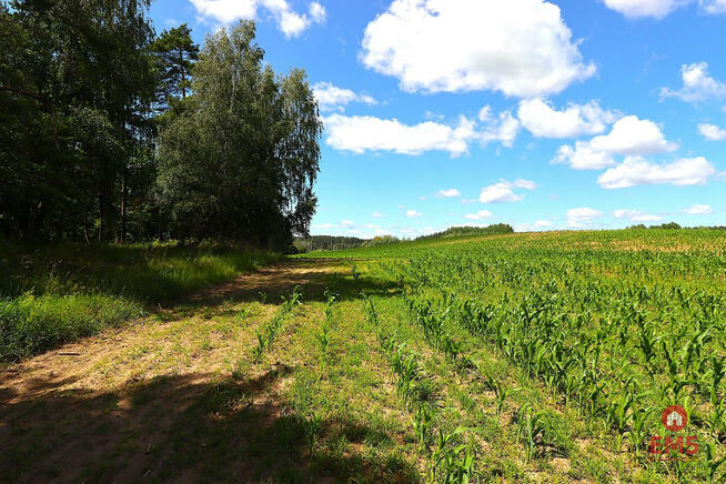 Działka budowlana Rożyńsk Wielki gm. Prostki,