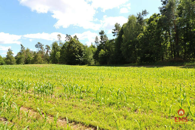 Działka budowlana Rożyńsk Wielki gm. Prostki,