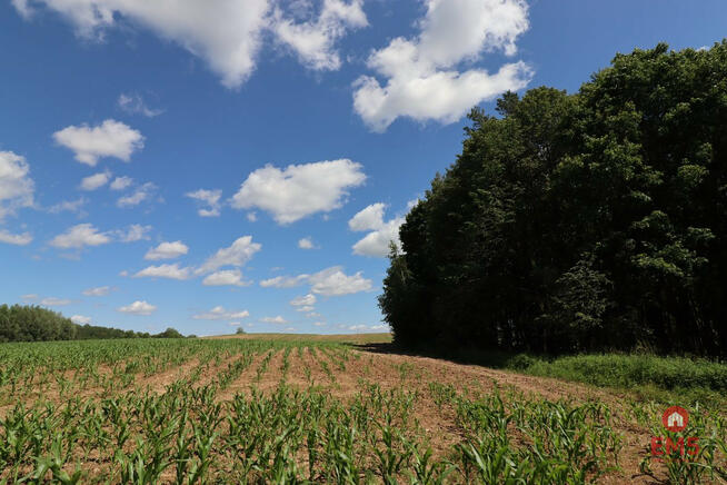 Działka budowlana Rożyńsk Wielki gm. Prostki,