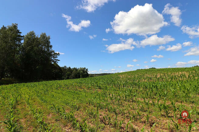 Działka inwestycyjna Rożyńsk Wielki gm. Prostki,