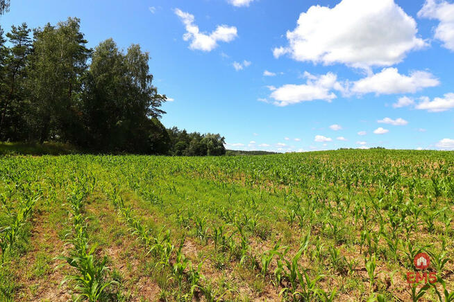 Działka inwestycyjna Rożyńsk Wielki gm. Prostki,
