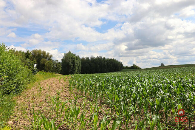 Działka inwestycyjna Rożyńsk Wielki gm. Prostki,
