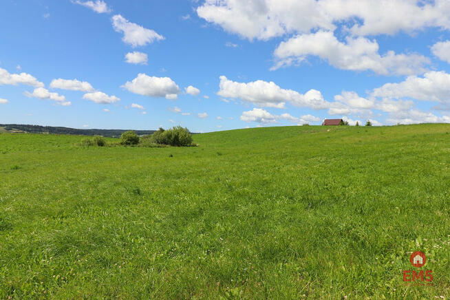 Działka budowlana Olszanka gm. Rutka-Tartak,