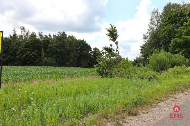 Działka inwestycyjna Rożyńsk Wielki gm. Prostki,