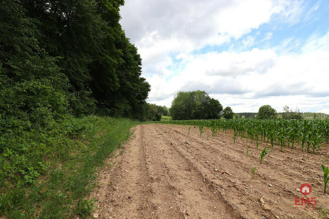 Działka inwestycyjna Rożyńsk Wielki gm. Prostki,