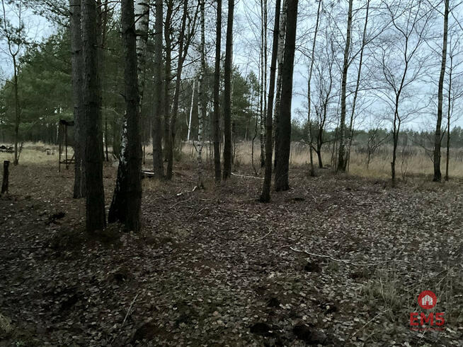 Dom Sochonie gm. Wasilków Sochonie,